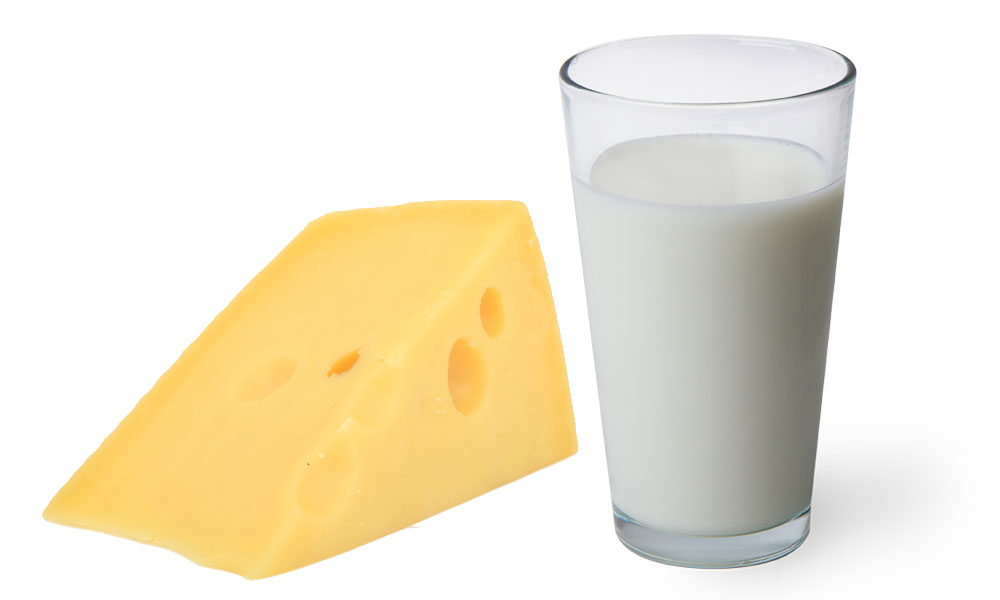 Dairy