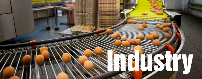 Food Industry